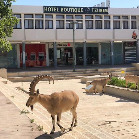 Tzukim Desert Traveler'S Hotel - מלון צוקים ميتزبي رامون المظهر الخارجي الصورة